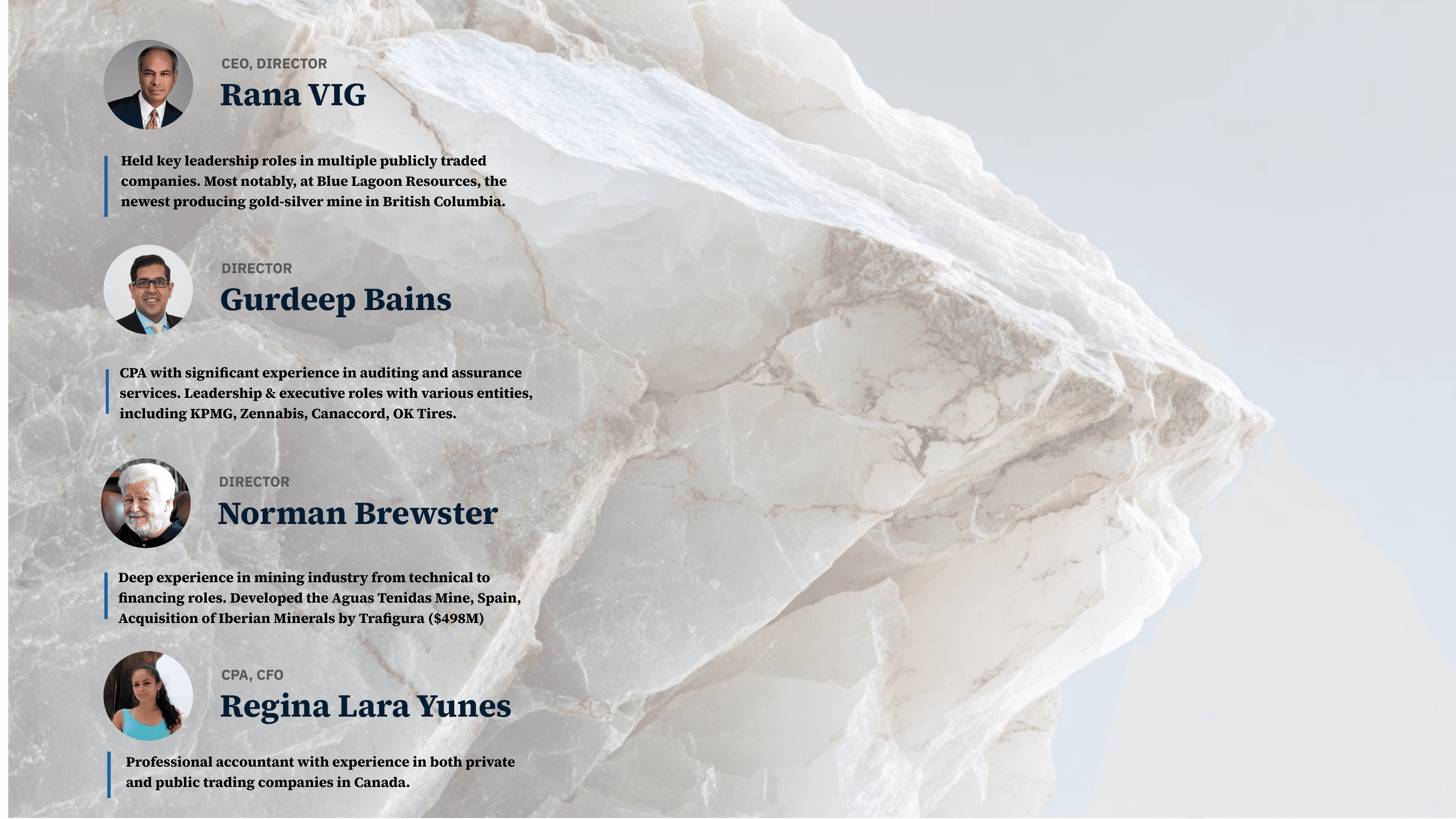 Investor presentation slide 17 of 19